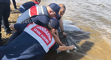 Kırklareli’nde Ekosistem Canlanıyor, Pınarhisar Barajlarına Balık Salınımı Yapıldı