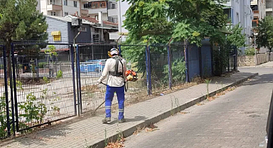 Lüleburgaz'da Ot Biçme Çalışmaları Hız Kesmeden Devam Ediyor