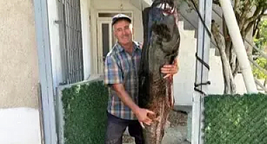 Meriç Nehri'nde 2 metrelik yayın balığı yakaladı