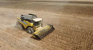 Prof. Dr. Orta: Sıcak kavurdu, biçilmeden tarlada bırakılabilecek düzeyde ayçiçekleri var