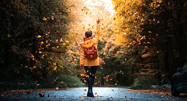 Sonbaharın Renkli Hüznü Muhteşem Fotoğraflar Karelerine Dönüşüyor! Yaprak Dökümü ile Doğanın Sessiz Vedasına Tanıklık Edin!