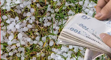 Tarım Sigortası Olmayan Kırklarelili Çiftçilere 12 Milyon TL Ödeme Yapılacak!