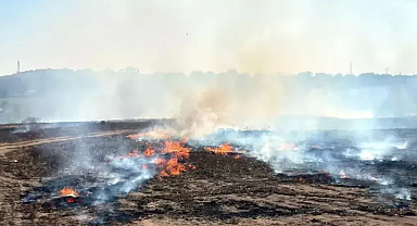 Tekirdağ'da temmuz ayında 911 yangın çıktı