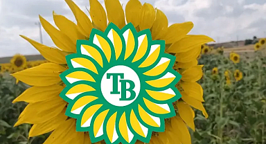 Trakya Birlik Ayçiçeği Ön Alım Fiyatını Açıkladı: 20 Bin TL/Ton
