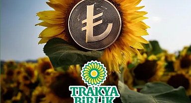 Trakya Birlik'ten Önemli Destek Açıklaması: Yağlık Ayçiçeği ve Mazot-Gübre Desteği Artırıldı