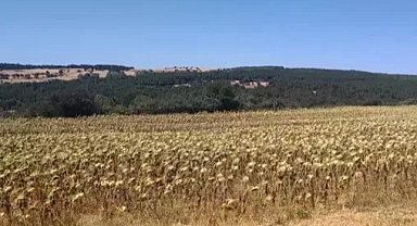Edirne’de RES projesinin ÇED süreci sonlandırıldı