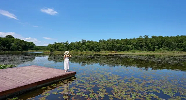 İstanbul’a Yakın En Huzurlu Kaçış Noktaları Hangileri? Tempodan Uzak ve Doğa ile İç İçe Tatil Yerleri!