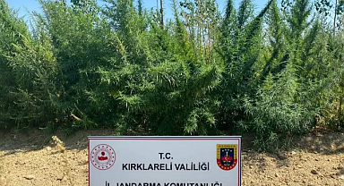 Kırklareli İl Jandarması, Ağustos'ta 48 Suç Olayına Müdahale Etti!