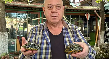 Müşterileri bakamadı, 18 kaplumbağayı sahiplendi; işletmesinde besliyor