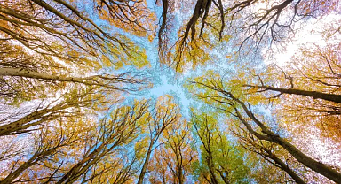 Sonbahar Ekinoksu Ne Zaman? 2024 Sonbahar Ekinoksu Tarihi ve Ayrıntılar!