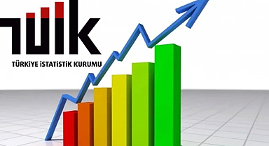 Türkiye'nin 2024 İkinci Çeyrek GSYH Verileri Açıklandı