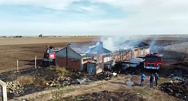 Edirne'de çiftlik yangınında, yaklaşık 80 tavuk öldü