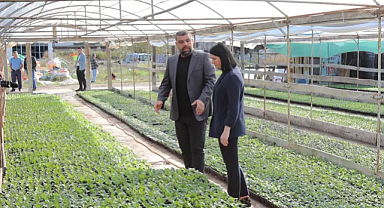 Edirne'de Parklar Çiçek Açacak, Yeni Peyzaj Çalışmaları Başlıyor