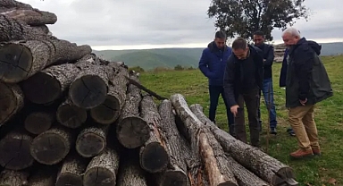 Kırklareli, Demirköy ve Vize Orman İşletme Müdürlükleri FSC Denetiminden Geçtiler