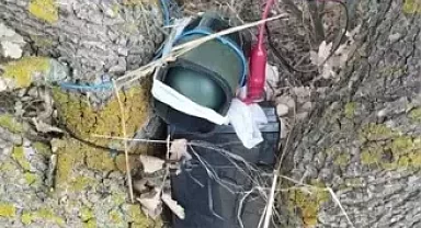 Ses düzeneği kurup bıldırcın avlarken yakalandı