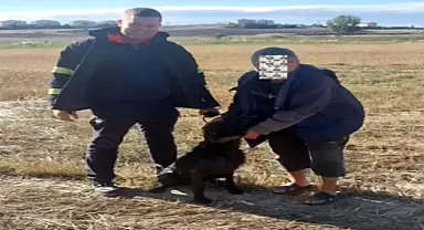 Su kuyusuna düşen av köpeğini itfaiye kurtardı