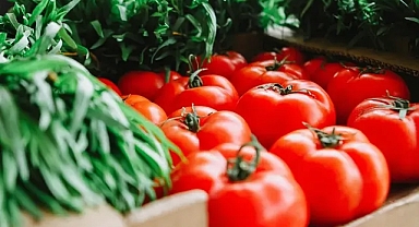 Tarım-ÜFE'de Eylül Ayında Yüzde 2,00 Aylık Artış Gerçekleşti