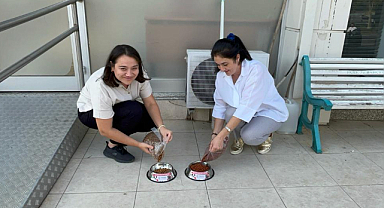 TREPAŞ, CAN DOSTLARIMIZI UNUTMUYOR