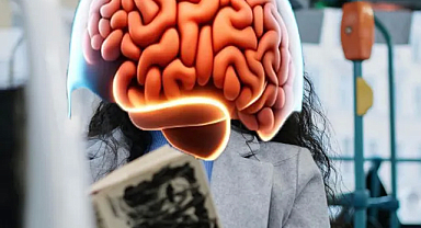 Türkiye'de Yükseköğretim Mezunlarının Beyin Göçü Oranı Yüzde 2,0 Oldu