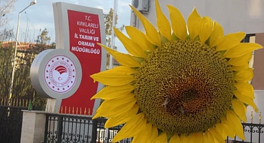2025 Yılında Tarım Sigortalarında Önemli Düzenlemeler