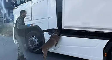 Edirne'de, park halindeki TIR'da 24 kilo kokain ele geçirildi