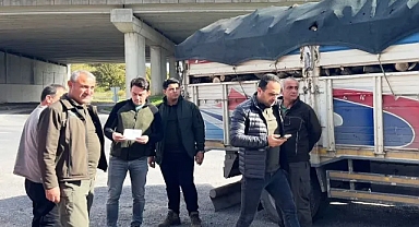 İstanbul OGM'den Orman Suçlarına Karşı Yoğun Denetim