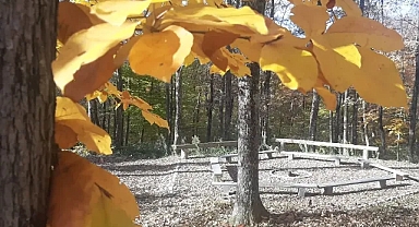 Istranca Dağları’nda Sonbaharın Büyüleyici Renkleri