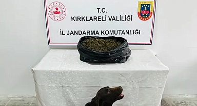 Kırklareli’nde 3120 Gram Esrar Ele Geçirildi