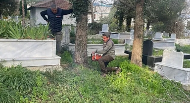 Kıyıköy Belediyesi'nden Mezarlık Temizliği ve Bakım Çalışmaları