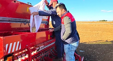 Lüleburgaz'da Yulaf Tarımında Demonstrasyon Çalışmaları Başladı