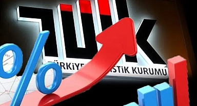 TÜİK'in Ekim 2024 Verileriyle Türkiye Ekonomisinin Güncel Durumu