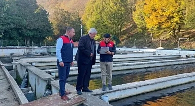 Vize'de Su Ürünleri Denetimi: Sağlıklı ve Güvenli Tüketim İçin Sıkı Takip