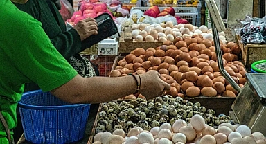 Aralık 2024 Tüketici Güven Endeksi ve Alt Endekslerdeki Değişimler