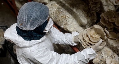 “Kapaklı Mantar Üreten ve İşleyen Eller” Projemiz Altın Karınca Ödülüne Layık Görüldü