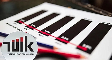 Kasım 2024 TÜİK Verileri Özeti: Ekonomik Göstergeler ve Sektörel Değişimler