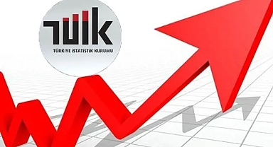 Kasım 2024 Yurt İçi Üretici Fiyat Endeksi Açıklandı: Artışlar Devam Ediyor