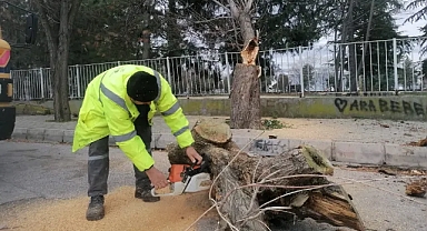 Kırklareli'de Fırtına Mesaisi: Belediye Ekipleri Sahada