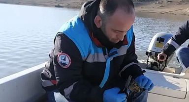 Kırklareli'nde Yasa Dışı Su Ürünleri Avcılığı İle Mücadele Sürüyor