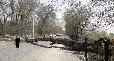 Kuzey Ege için ‘kuvvetli fırtına’ uyarısı