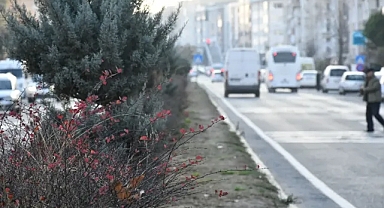 Lüleburgaz’da D-100 Karayolu’nda Peyzaj Çalışmaları Başladı!