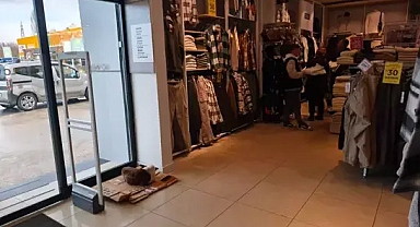 Yağmurda ıslanıp, üşüyen köpeği mağazaya aldılar
