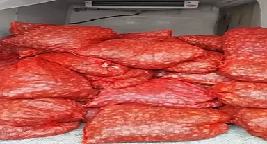 Yurt dışına kaçak kum midyesi çıkarmaya çalışan 46 kişiye 11 milyon lira ceza