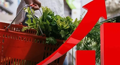 Aralık 2024 TÜFE Verileri Açıklandı: Yıllık Artış Yüzde 44,38