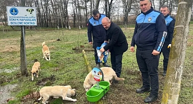 Büyükkarıştıran'da Sokak Hayvanları İçin Beslenme Noktası