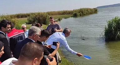 Edirne'de 2024 yılında 10 milyon sazan balığı yavrusu üretildi