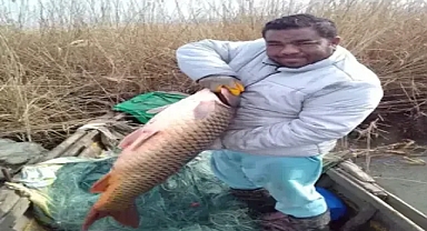 Gala Gölü’nde 18 kilo ağırlığında sazan balığı yakalandı