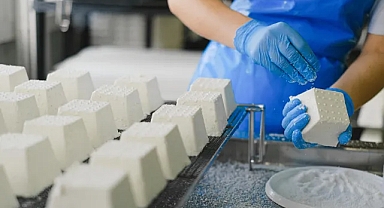 Kasım 2024 İşgücü İstatistikleri Açıklandı: İşsizlik Oranı Yüzde 8,6 Seviyesinde