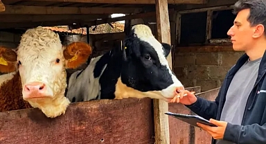 Kırklareli'nde Hayvancılık İşletmelerinde Küpe ve Sağlık Kontrolleri Devam Ediyor