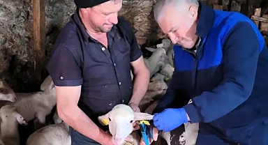 Kırklareli'nde Tarım ve Hayvancılık Denetimleri Aralıksız Sürüyor