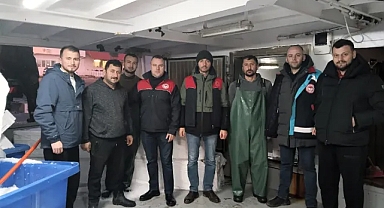 Balıkçılık Sezonunda Rekor! Kırklareli'nden Türkiye'ye 6.346 Ton Hamsi 